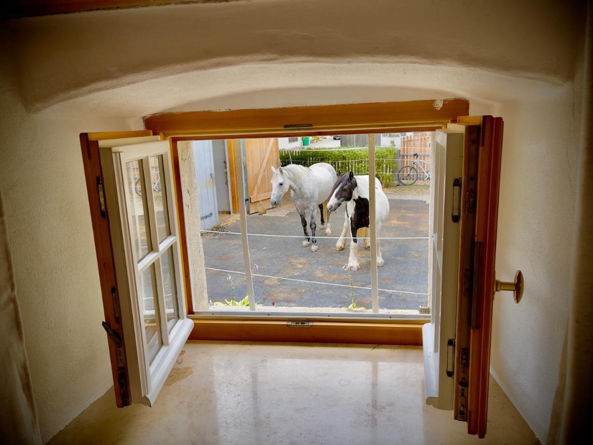 Rohrachhof Appartement Treuchtlingen Buitenkant foto